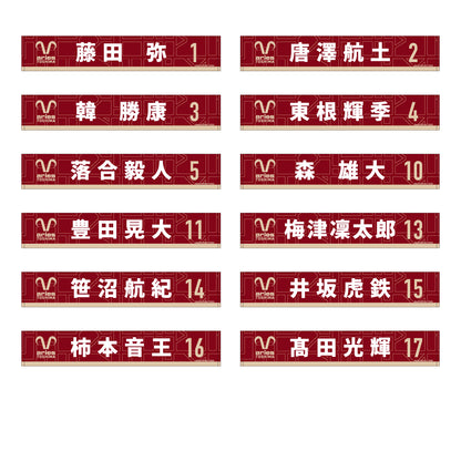 2025 タオルマフラー (選手)