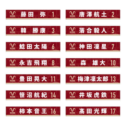 2025 タオルマフラー (選手・監督)